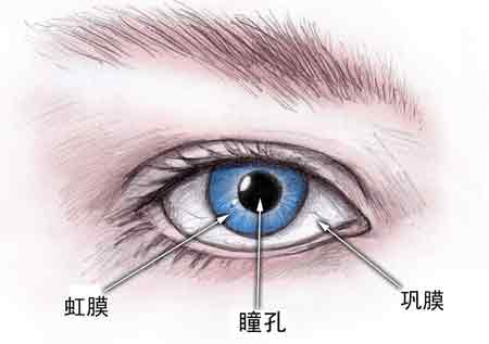 原發(fā)性開(kāi)角型青光眼的癥狀有哪些